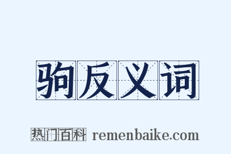 驹反义词是什么意思的图片